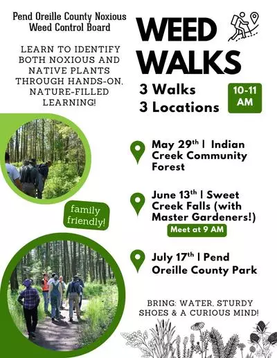 Weed Walks Flyer