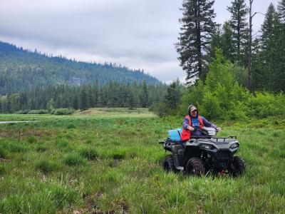 Spraying thistle with an ATV