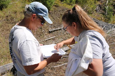 analyzing viability of bio control for distribution