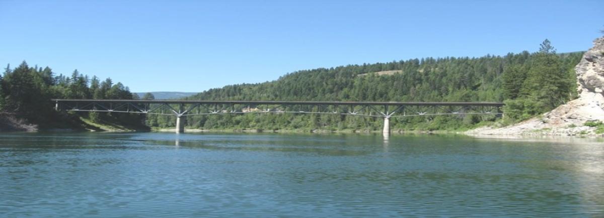 RNP Website Image