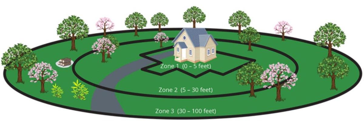 Defensible space